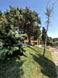 büyükada_ (21)