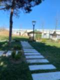 sevketiye cami ve orman yolu (7)