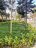 sevketiye cami ve orman yolu (24)