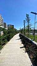 nezihpark_ (37)