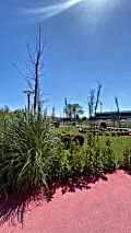 nezihpark_ (24)