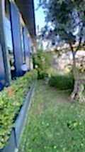 nezihpark_ (5)