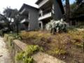 büyükada_ (28)