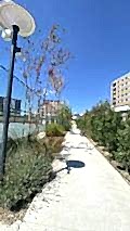 nezihpark_ (25)