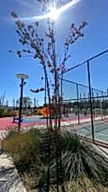 nezihpark_ (27)
