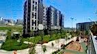 mavera_ (28)
