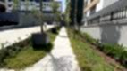 mavera_ (20)