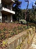 büyükada_ (30)