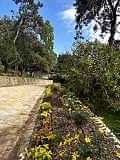 büyükada_ (29)