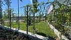 nezihpark_ (38)