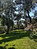 büyükada_ (22)