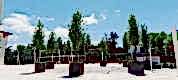 WhatsApp Image 2026-02-05 at 13.27.52