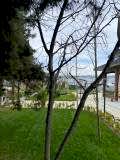 sevketiye cami ve orman yolu (26)