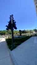 fikirtepe (3)
