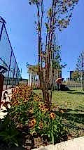 nezihpark_ (31)