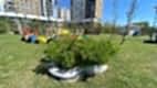 nezihpark_ (22)