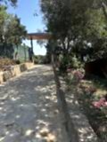 büyükada_ (14)