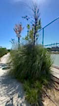nezihpark_ (28)