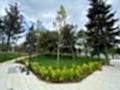 sevketiye cami ve orman yolu (8)