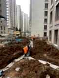 WhatsApp Image 2026-03-14 at 08.37.44