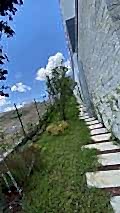 mavera_ (7)
