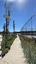 nezihpark_ (34)