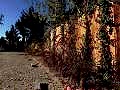 WhatsApp Image 2026-01-20 at 13.30.01