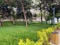 sevketiye cami ve orman yolu (34)