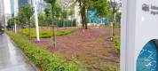 WhatsApp Image 2026-02-05 at 13.31.03