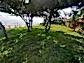büyükada_ (17)