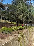 büyükada_ (27)