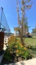 nezihpark_ (32)