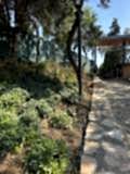 büyükada_ (26)