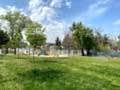 sevketiye cami ve orman yolu (16)