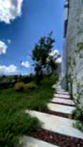 mavera_ (8)