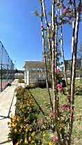 nezihpark_ (30)
