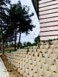 sevketiye cami ve orman yolu (20)