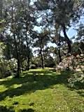 büyükada_ (12)
