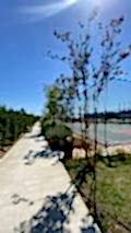 nezihpark_ (33)