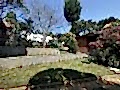 büyükada_ (19)
