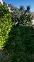 WhatsApp Image 2026-03-13 at 22.28.15 (3)
