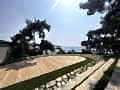 büyükada_ (4)
