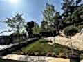 büyükada_ (23)