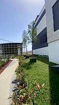 mavera_ (13)