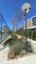 nezihpark_ (26)